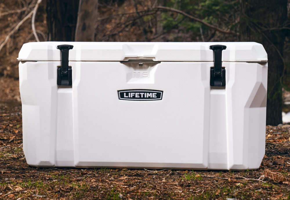 portable outdoor beverage cooler