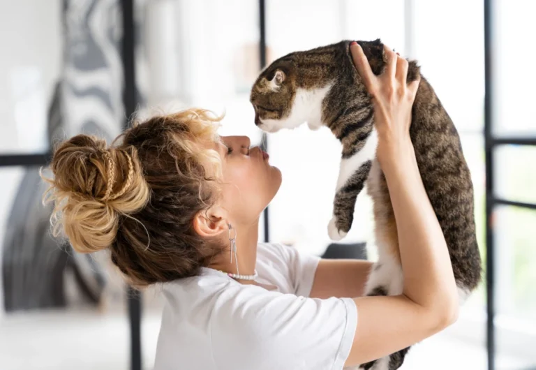 best pet cameras for dogs