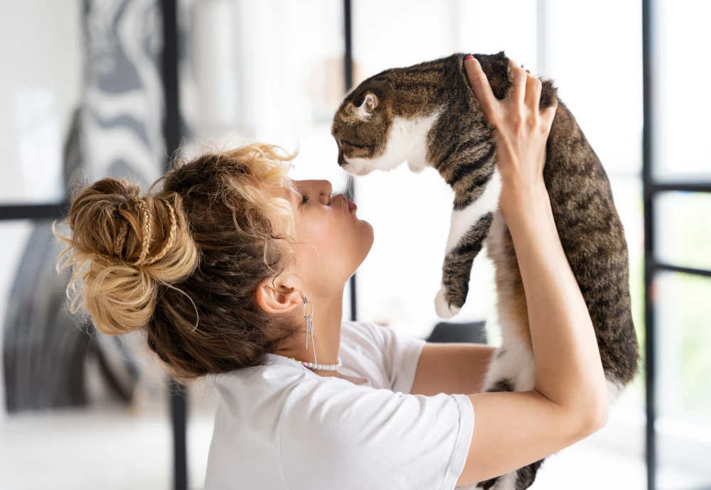best home security camera for pets