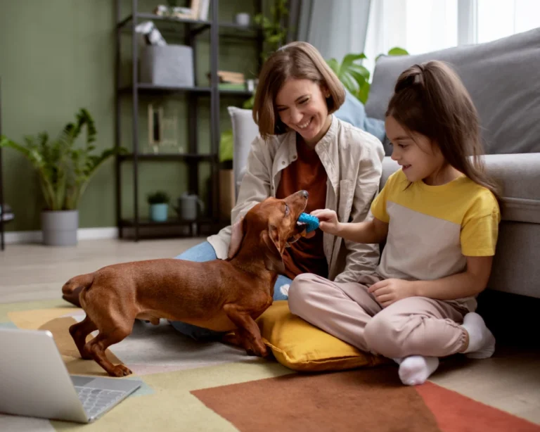 automatic small pet feeder